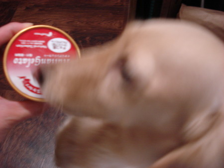 f:id:honey-ponta:20070513205820j:image