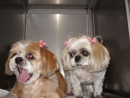 f:id:honey-ponta:20070530194550j:image