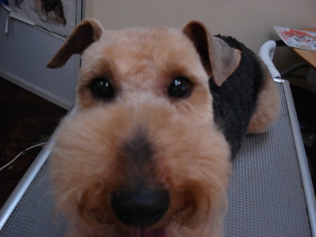f:id:honey-ponta:20070530195036j:image