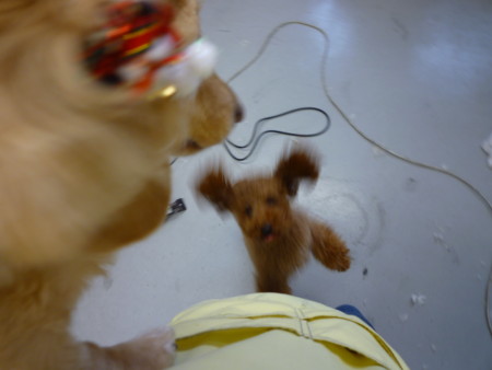 f:id:honey-ponta:20091213191141j:image