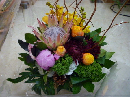 f:id:honey-ponta:20091213191347j:image