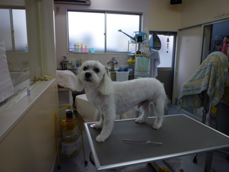 f:id:honey-ponta:20091213192504j:image