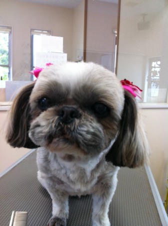 f:id:honey-ponta:20110508185537j:image