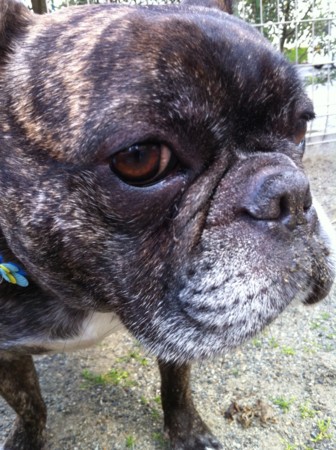 f:id:honey-ponta:20110508185543j:image