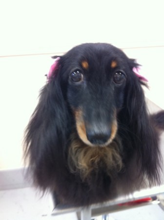 f:id:honey-ponta:20120218201025j:image