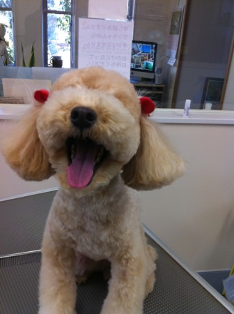 f:id:honey-ponta:20120218201030j:image