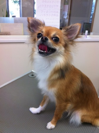 f:id:honey-ponta:20120218201037j:image
