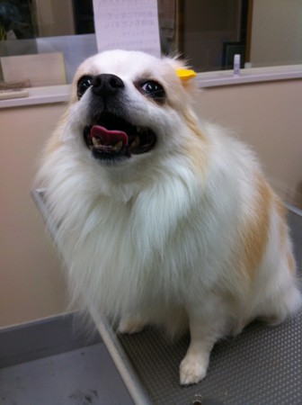 f:id:honey-ponta:20120218201043j:image