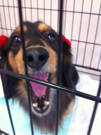 f:id:honey-ponta:20120218201049j:image