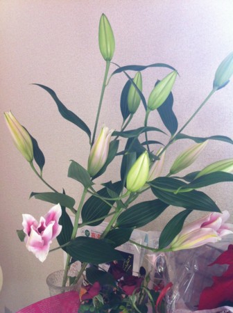f:id:honey-ponta:20120218201103j:image