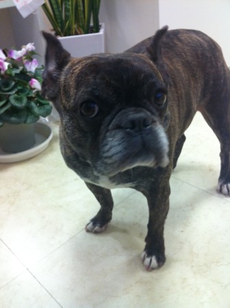 f:id:honey-ponta:20120406181139j:image