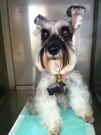 f:id:honey-ponta:20120429193141j:image