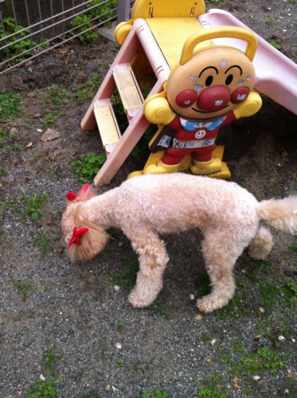 f:id:honey-ponta:20120429193732j:image