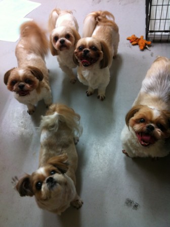 f:id:honey-ponta:20120429193752j:image