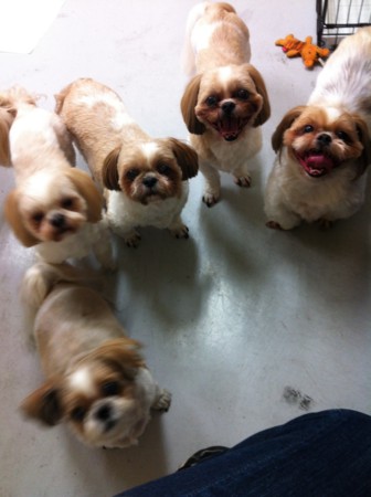 f:id:honey-ponta:20120429193759j:image