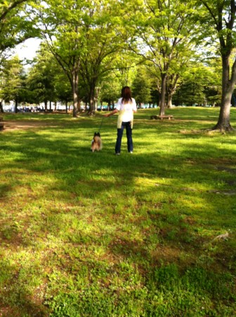 f:id:honey-ponta:20120429194119j:image