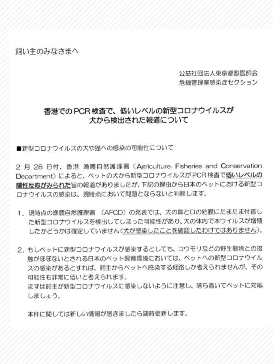 f:id:honey-ponta:20200309183559j:plain f:id:honey-ponta:20200309183559j:plain