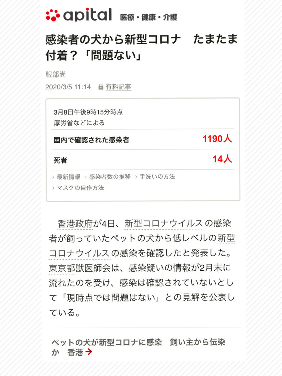 f:id:honey-ponta:20200309183654j:plain f:id:honey-ponta:20200309183654j:plain