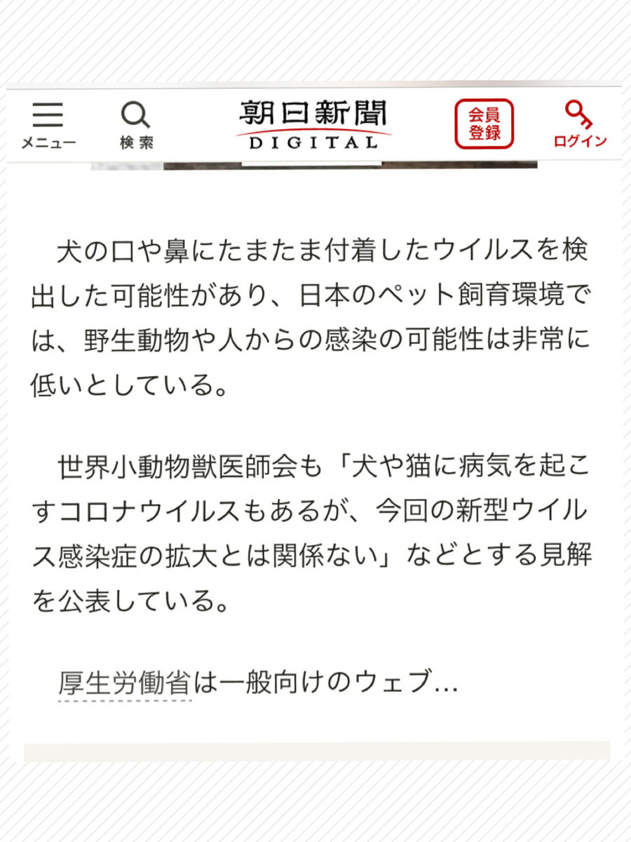 f:id:honey-ponta:20200309183729j:plain f:id:honey-ponta:20200309183729j:plain
