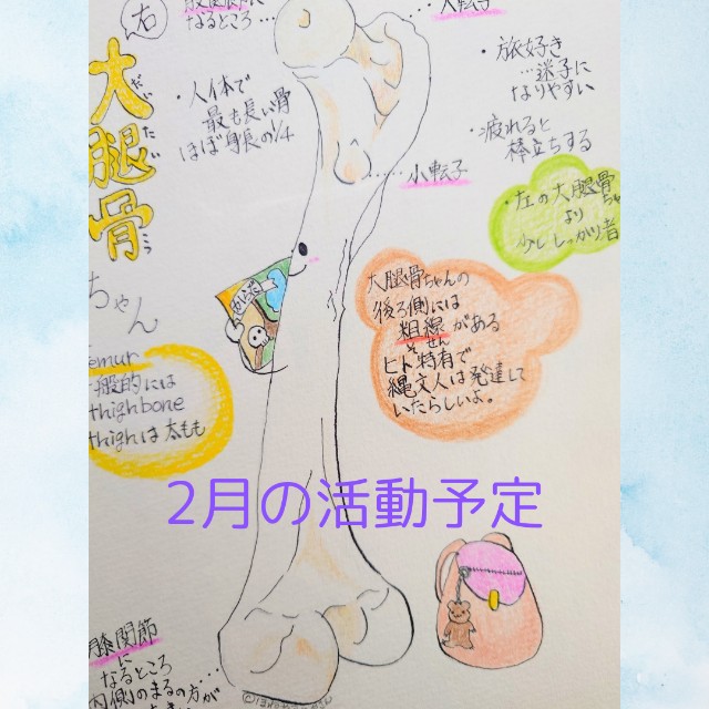f:id:honeyasumeyasan:20250120121059j:image