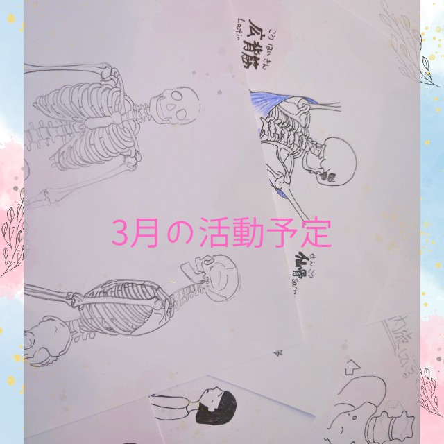 f:id:honeyasumeyasan:20250220082721j:image