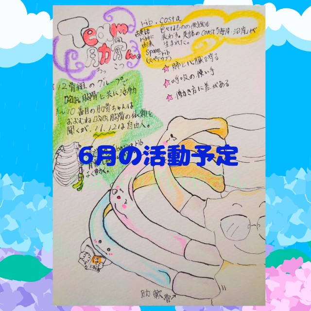 f:id:honeyasumeyasan:20250521082200j:image