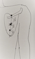 20190827124903