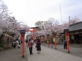 20090411132732