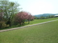 20090502113052