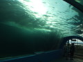 20090502144528