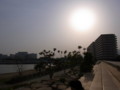 20090504165404