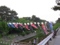 20090504181559