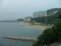 f:id:honeycha:20090516094227j:image