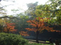 20091123125516
