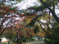 20091123125526