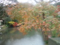 20091129100634
