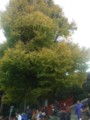 20091129101406