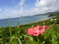 20100823104254