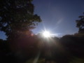 20101011064809