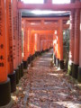 20101123144510