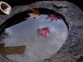 20101123153708