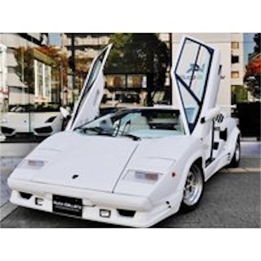 f:id:honeyhornet:20190619224454j:image f:id:honeyhornet:20190619224454j:image