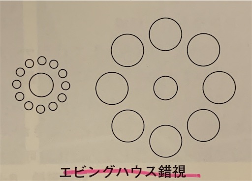 f:id:honeyhornet:20190713220215j:image