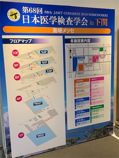 f:id:honeyhornet:20190731222833j:image