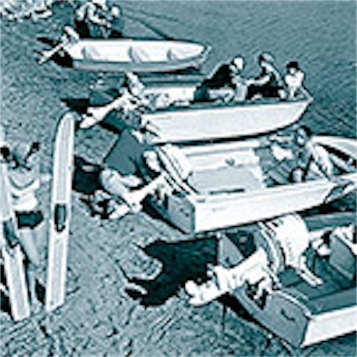 f:id:honeyhornet:20191009112759j:image