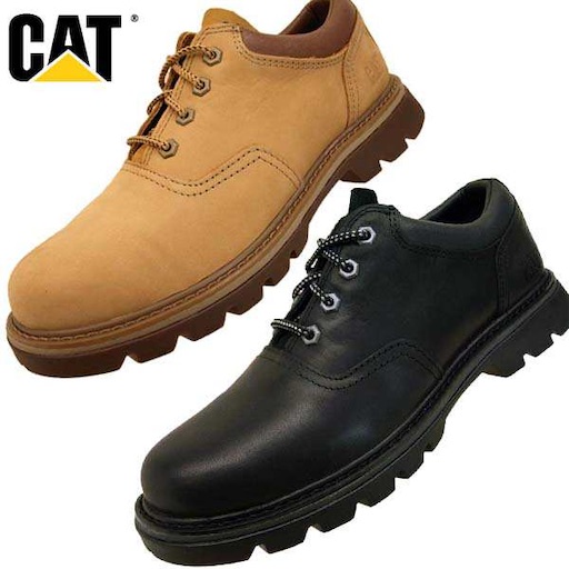 f:id:honeyhornet:20191024150233j:image