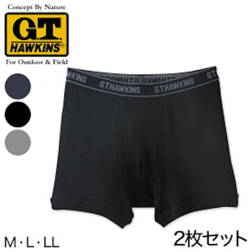 f:id:honeyhornet:20191024154546j:image