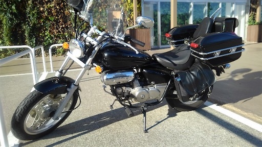 f:id:honeyhornet:20200123230652j:image