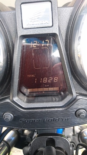 f:id:honeyhornet:20200902074953j:image