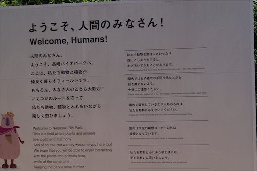 f:id:honeyhornet:20200924074536j:image